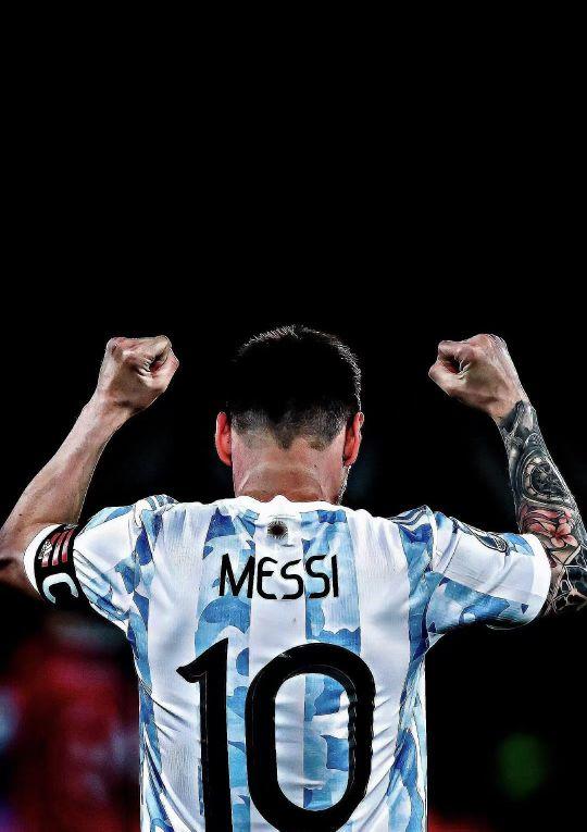 尼科的成长 尼科的成长