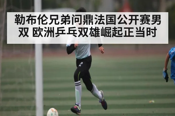 勒布伦兄弟问鼎法国公开赛男双 欧洲乒乓双雄崛起正当时 | hth